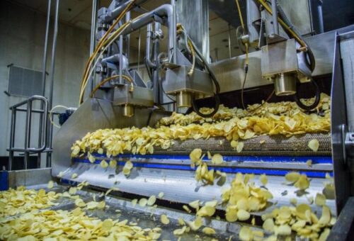 potato chips